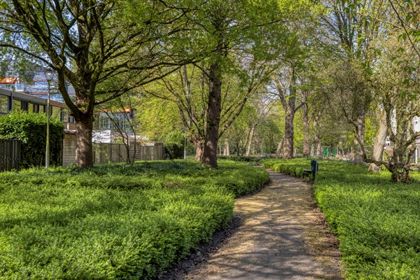 Medium property photo - Kasteel Montfoortstraat 38, 5037 TE Tilburg