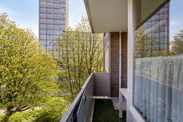 Medium property photo - Cederstraat 93, 5037 JC Tilburg