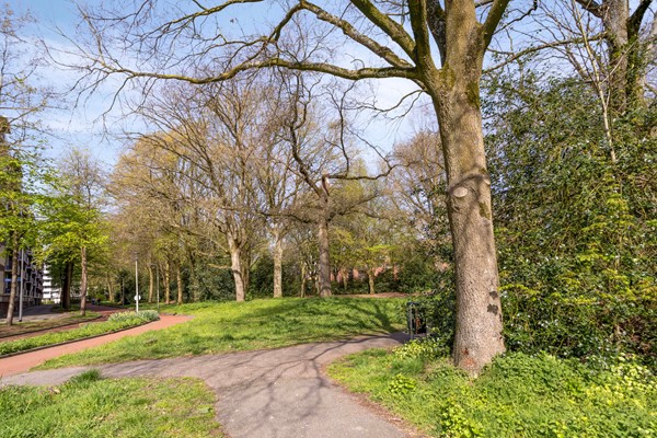 Medium property photo - Cederstraat 93, 5037 JC Tilburg