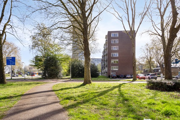 Medium property photo - Cederstraat 93, 5037 JC Tilburg