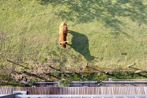 Medium property photo - Bijsterveldenlaan 389, 5045 ZR Tilburg