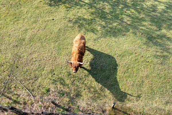 Medium property photo - Bijsterveldenlaan 389, 5045 ZR Tilburg