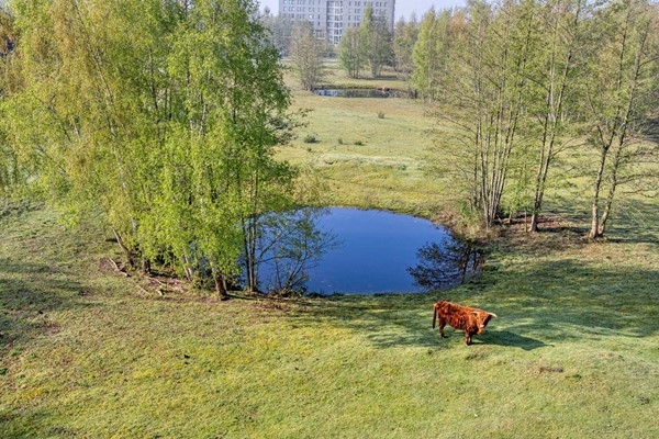 Medium property photo - Bijsterveldenlaan 389, 5045 ZR Tilburg