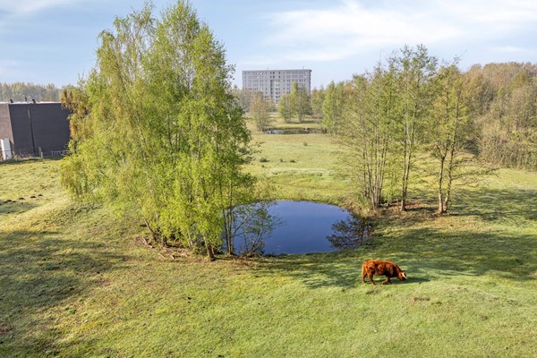 Medium property photo - Bijsterveldenlaan 389, 5045 ZR Tilburg