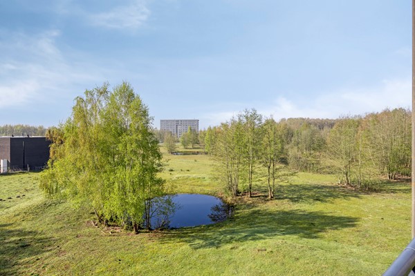 Medium property photo - Bijsterveldenlaan 389, 5045 ZR Tilburg