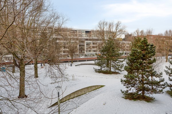 Medium property photo - Schoolstraat 175, 5038 RK Tilburg