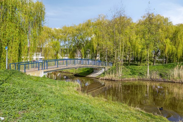 Medium property photo - Mookstraat 12, 5045 KH Tilburg