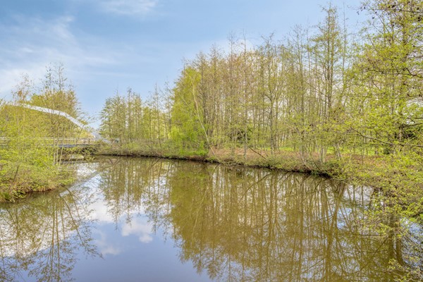 Medium property photo - Mookstraat 12, 5045 KH Tilburg