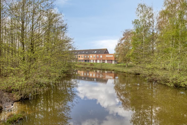 Medium property photo - Mookstraat 12, 5045 KH Tilburg