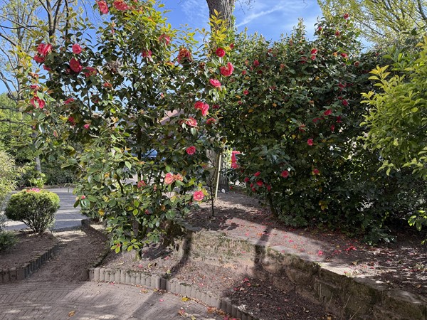 Medium property photo - Kamperfoelielaan 6, 5056 XW Berkel-Enschot