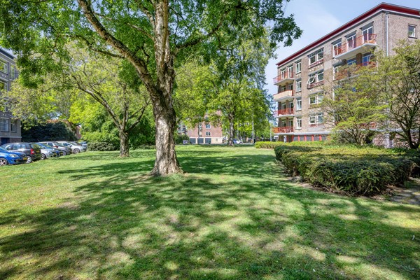 Medium property photo - Pieter Brinkmanstraat 3, 5025 VN Tilburg