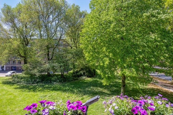 Medium property photo - Pieter Brinkmanstraat 3, 5025 VN Tilburg