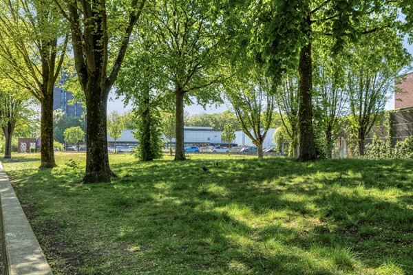 Medium property photo - Hoevenseweg 46, 5017 AE Tilburg
