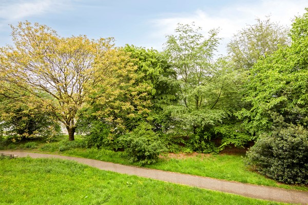Medium property photo - Cederstraat 63, 5037 JB Tilburg