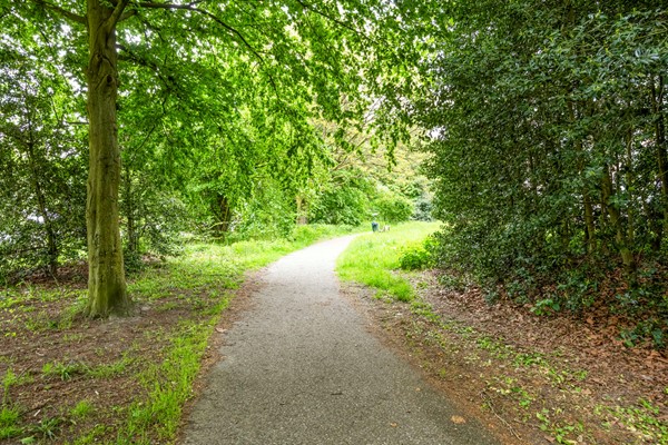 Medium property photo - Cederstraat 63, 5037 JB Tilburg
