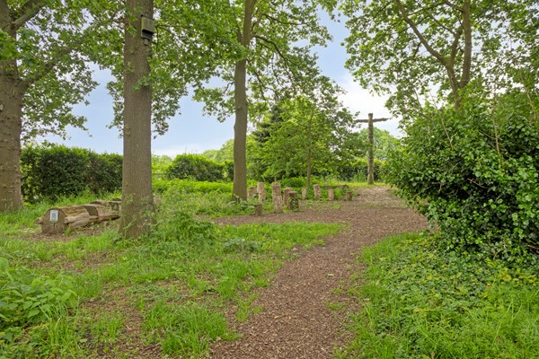 Medium property photo - Jan Pieterszoon Coenstraat 14, 5018 CS Tilburg