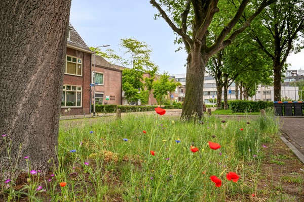 Medium property photo - Hendrik de Keijserstraat 19, 5041 JA Tilburg