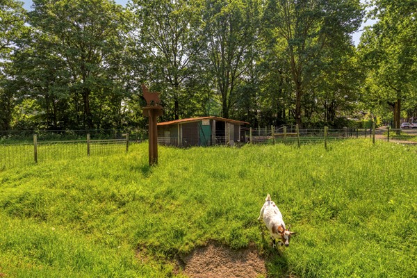 Medium property photo - Abcovenseweg 30, 5051 PV Goirle