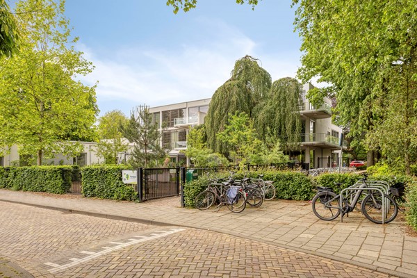 Medium property photo - Hoogvensestraat 78, 5017 CG Tilburg