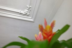 Ceintuurbaan 45 I-19.JPG