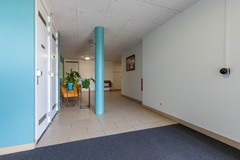 Leeuwerik 9 Leimuiden (31 van 34).jpg