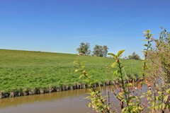 85_RIJNSATERWOUDE_2465_BR_Suyderbon_40.jpg