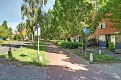 01_UITHOORN_1423_RZ_Noorse_Lijster_3.jpg