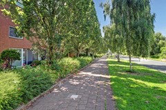 02_UITHOORN_1423_RZ_Noorse_Lijster_3.jpg