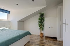 28_UITHOORN_1423_RZ_Noorse_Lijster_3.jpg