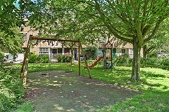 43_UITHOORN_1423_RZ_Noorse_Lijster_3.jpg