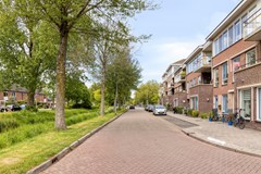 Grasakker261723BPNoordScharwoudeNL-06.jpg