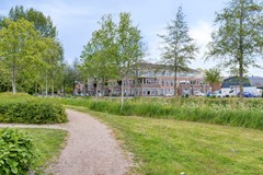 Grasakker261723BPNoordScharwoudeNL-44.jpg