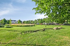 Fluitweg4A4462mgGoes-53.jpg