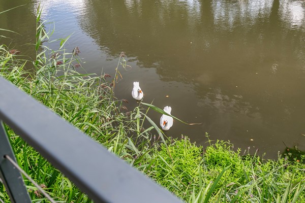 Medium property photo - Dam 2, 4461 HV Goes