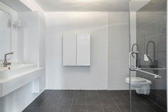 DeVeilingmeester54421GXKapelle-21.jpg