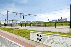 DeVeilingmeester54421GXKapelle-37.jpg
