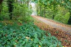 Archipel 16 - 20 - Lelystad-53.jpg