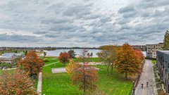 Biezenknoppen - 5 - Zwolle-53.jpg