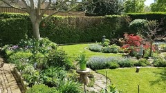 Koninginneweg 2 Zuid-Beijerland foto eigenaar 19.jpg