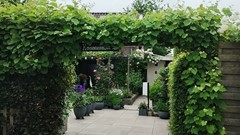 Koninginneweg 2 Zuid-Beijerland foto eigenaar 22.jpg