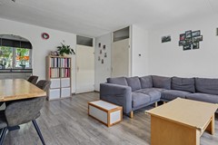 07_OUD_BEIJERLAND_3263_RC_Lijster_7.JPG