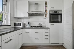 10_OUD_BEIJERLAND_3263_RC_Lijster_7.JPG