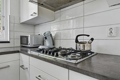 11_OUD_BEIJERLAND_3263_RC_Lijster_7.JPG