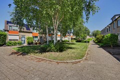 33_OUD_BEIJERLAND_3263_RC_Lijster_7.JPG