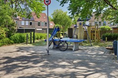 35_OUD_BEIJERLAND_3263_RC_Lijster_7.JPG