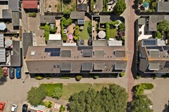 36_OUD_BEIJERLAND_3263_RC_Lijster_7.jpg