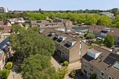 38_OUD_BEIJERLAND_3263_RC_Lijster_7.jpg