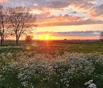 Keizersdijk 9, 3291CD Strijen