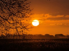 20260417_203108.jpg
