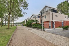01_S_GRAVENDEEL_3295_PE_Dagpauwoog_7.JPG